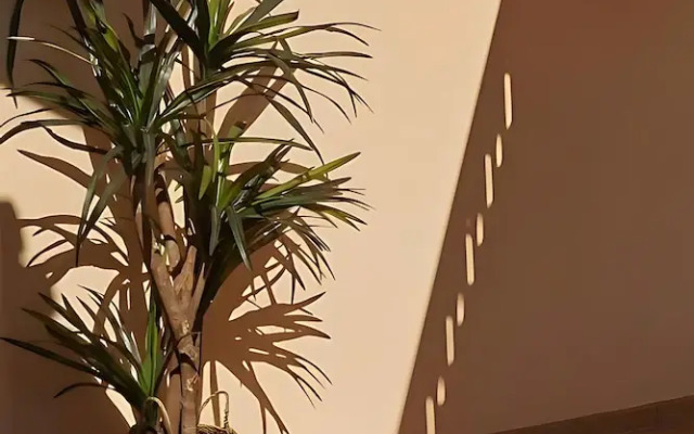 Villa Monte das Oliveiras