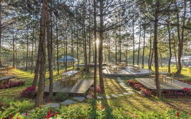 Kim Resort - Khu Nghĩ Dưỡng Rừng Lá Kim