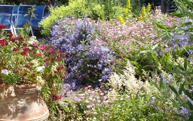 Rosedene Guesthouse