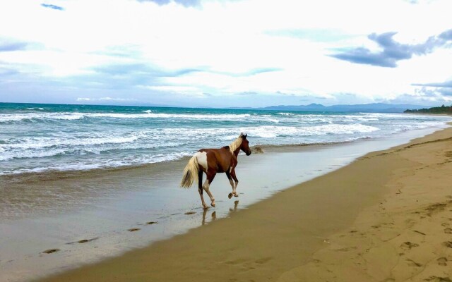 Residnecial Mananero Beach Apartment