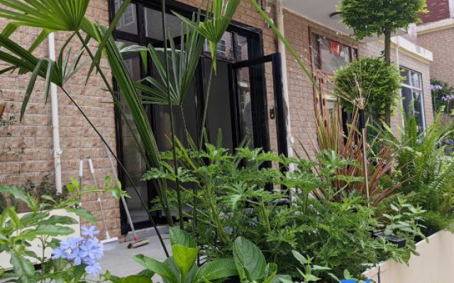 Qingfeng Xiaoyuan Homestay (Zhuzhou Fantawild Resort Branch)