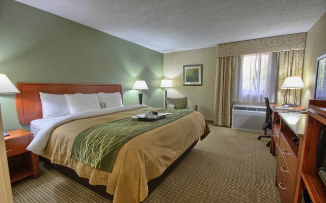 Comfort Inn Near Greenfield Village