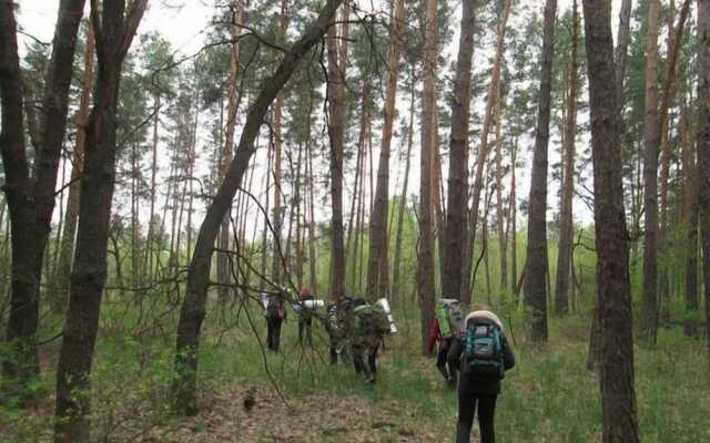 Апартаменты «Перлина Дзвинкова»