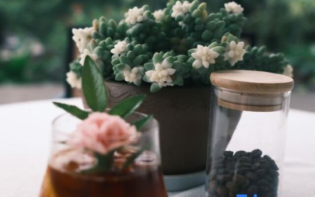 Forest Valley Mountain B&B (Wanfeng Forest Scenic Area)