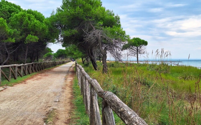 Bright Garden Apartment Near the sea