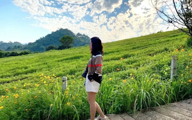 Doi Thong Moc Chau - by BAY LUXURY