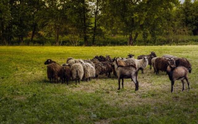 Gospodarstwo Agroturystyczne Dworek Janowicki