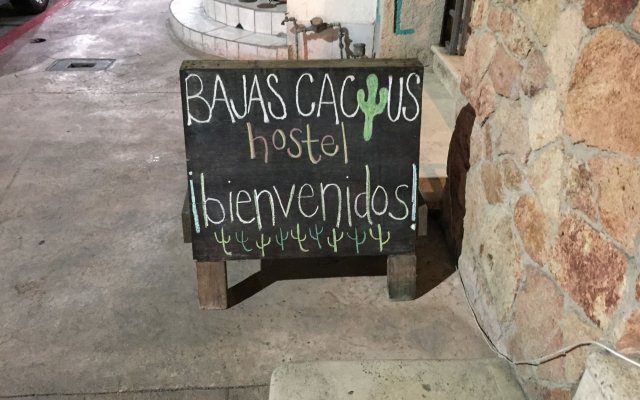 Baja's Cactus Hostel