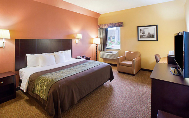 Shary Inn and Suites