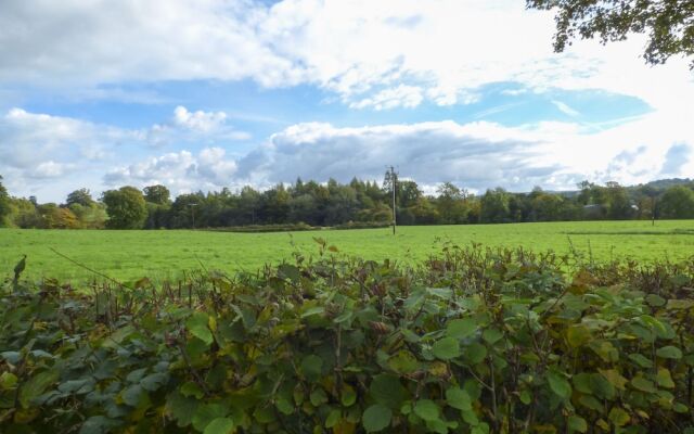 Foxes Den, Llandrindod Wells