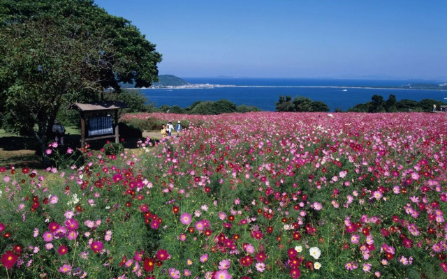 APA Hotel Hakata Higashihieekimae