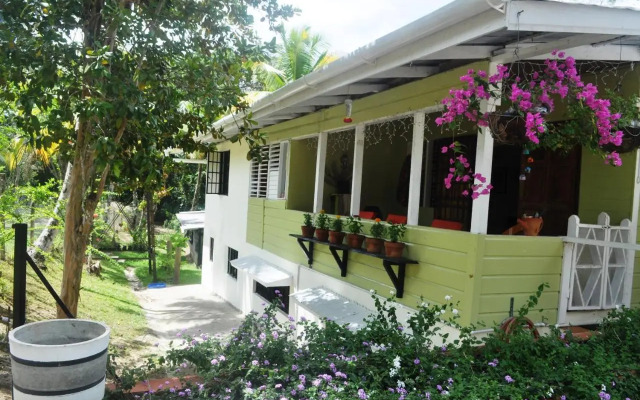 The Leatherback Lodge