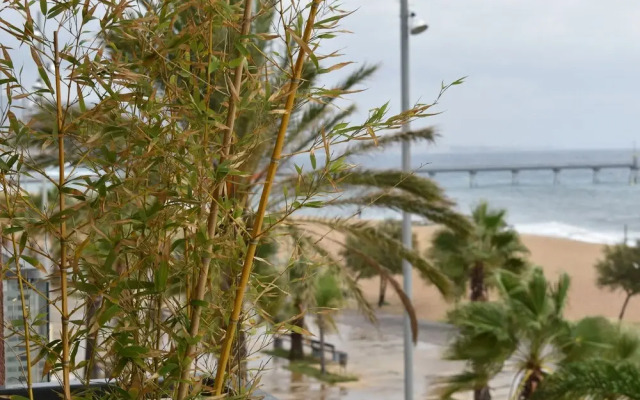 Barcelona Beachfront Apartment