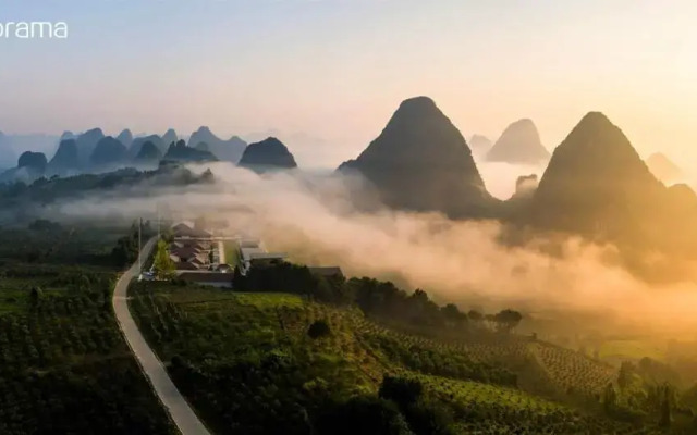 Misty Wonderland