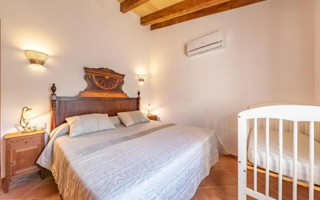 Selva-3834 Mallorca
