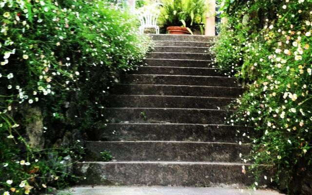 Serenesse - Bed & Breakfast