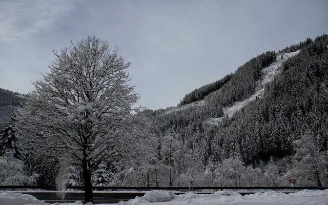 Traditionsgasthof Waldwirt