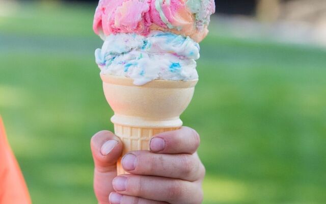 Stardust Inn and Chalets