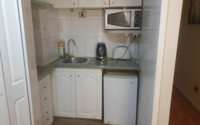 Costanera Center Departamento 2 ambientes. Providencia