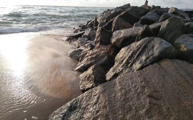 Oyo 287 Hotel Nelly Marine