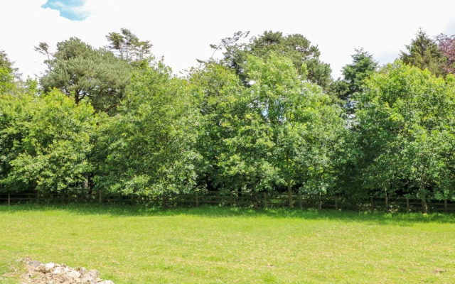 The Old White Cottage