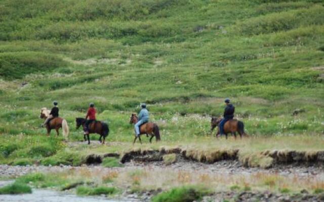 Country Hotel Heydalur