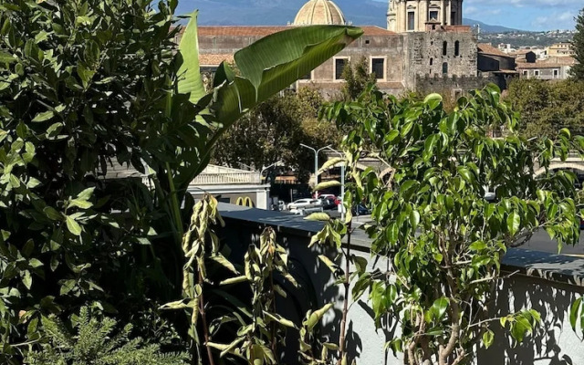 Rooftop53