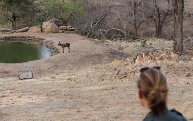 nDzuti Safari Camp