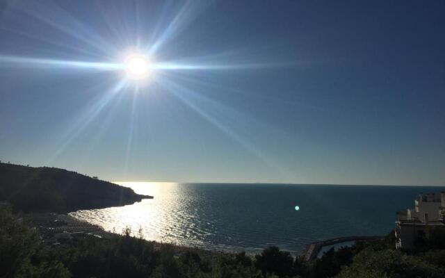 Il gabbiano, attico con terrazzo vista mare