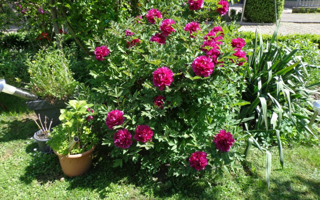 Ferienwohnung am Basberg