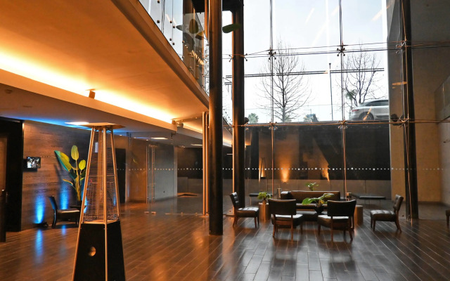 Wyndham Santiago Pettra