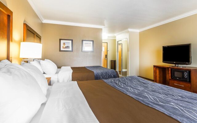 Comfort Inn & Suites Redwood Country