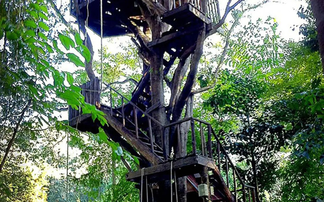 Rabeang Pasak Treehouse Resort