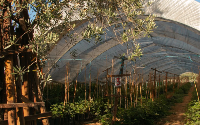 Quinta de SantAna da Várzea