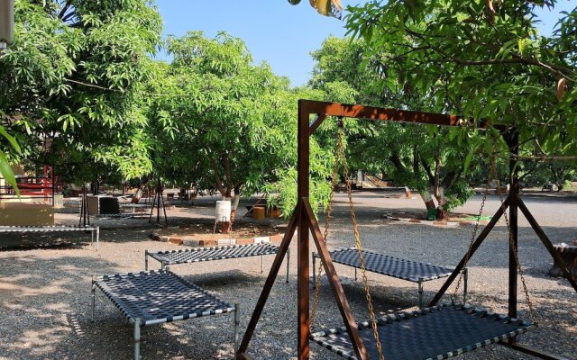 Dev Farm Sasan Gir