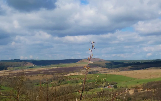 The Hideaway, Shepherd's Hut