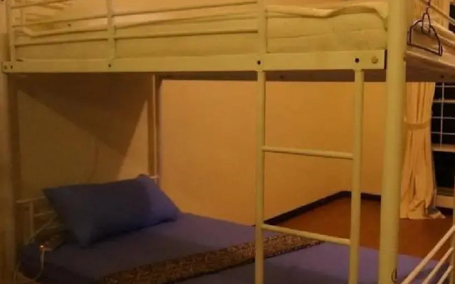 Best Bunk Beds Lodge