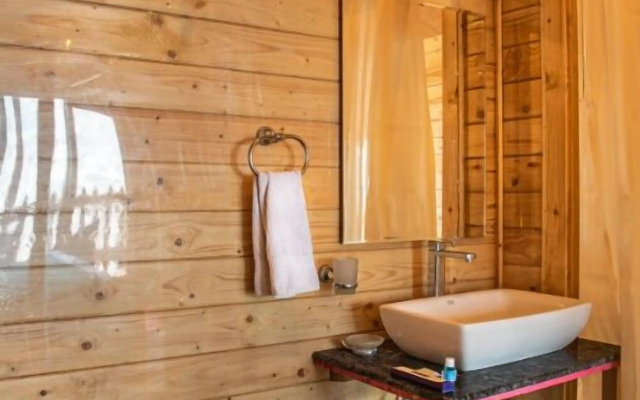 Echor Himalayan Aurum Manali