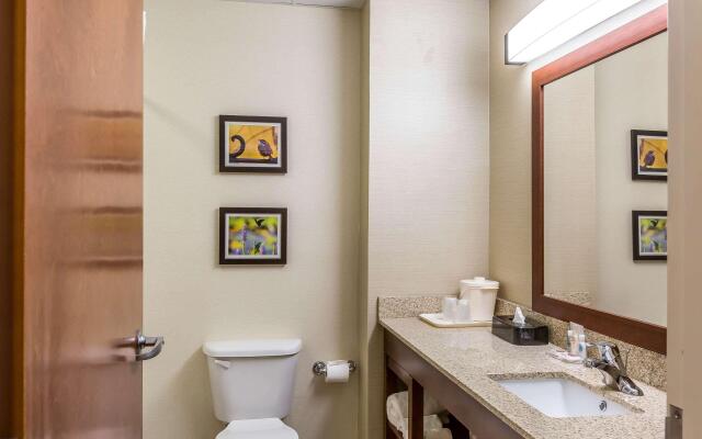 Comfort Inn Frederick - Ballenger Creek