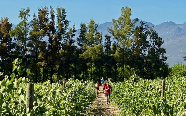 Duikersdrift Winelands Country Escape