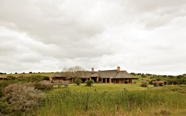 Hlosi Game Lodge - Amakhala Game Reserve