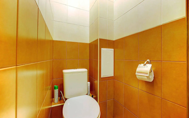 SutkiPeterburg Kolomiazskii