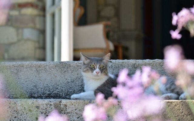 Alacati Zeytin Konak Hotel