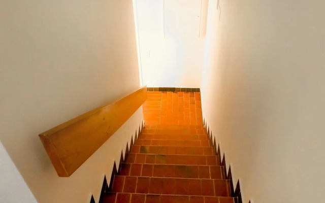 Birken Zermatt in Zermatt