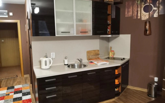 Studio Iceberg Borovets Студио с кухня