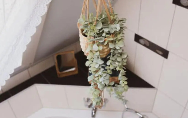 Villa G With Pool in Lubbenau