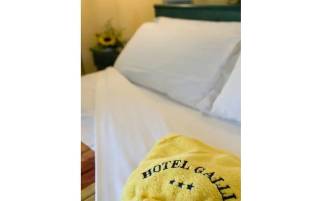 Club Hotel Gallia