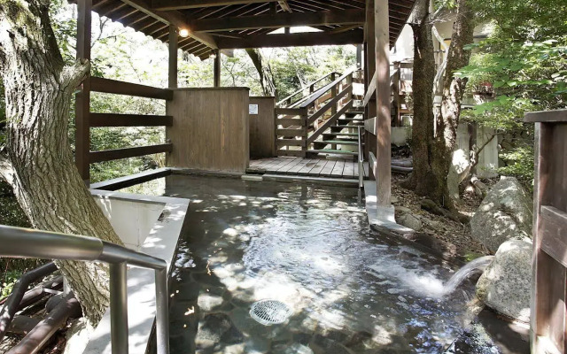 Irodori Koyo