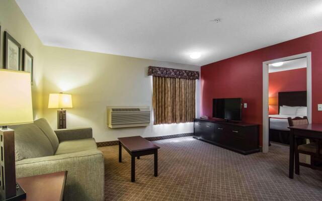 Comfort Inn & Suites Airport South