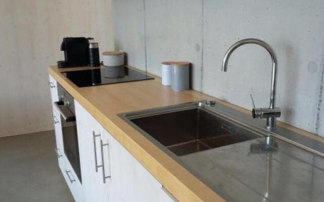 Chalet Contemporain